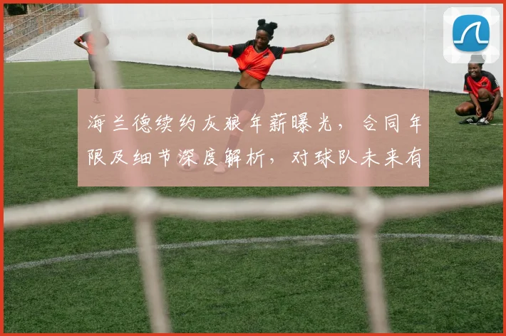 海兰德续约灰狼年薪曝光，合同年限及细节深度解析，对球队未来有何影响？