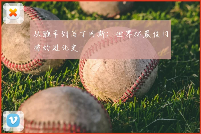 从雅辛到马丁内斯：世界杯最佳门将的进化史