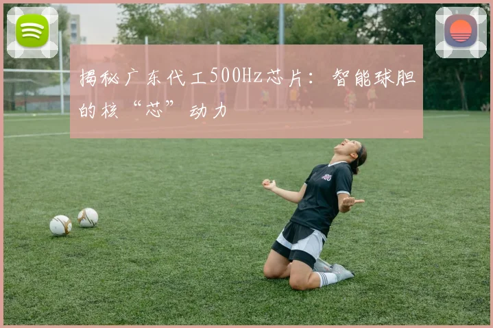 揭秘广东代工500Hz芯片：智能球胆的核“芯”动力